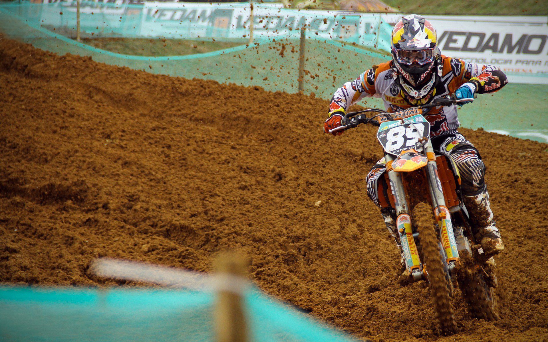 “牛仔3K亲子跑:香港的温馨跑步体验”