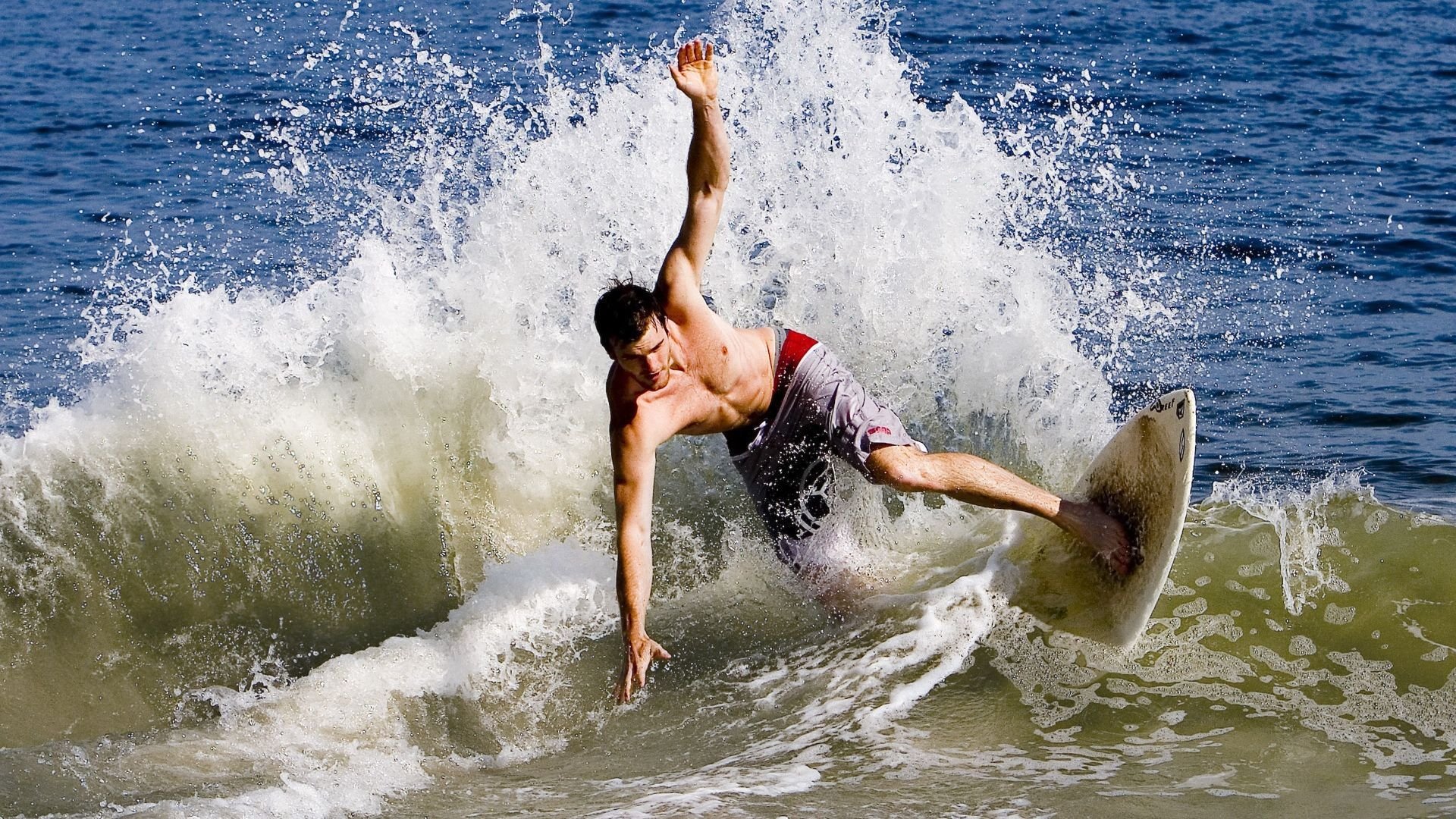 体育新闻中心主办体育短视频版权保护技术论坛,体育短视频下载